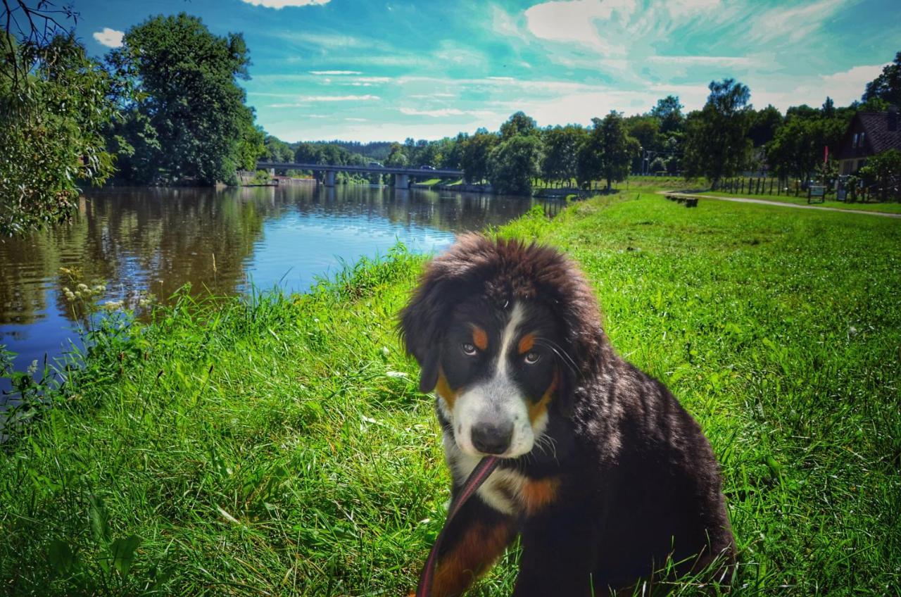 Camping Prima Týn nad Vltavou 외부 사진